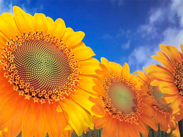 Sequência de Fibonacci